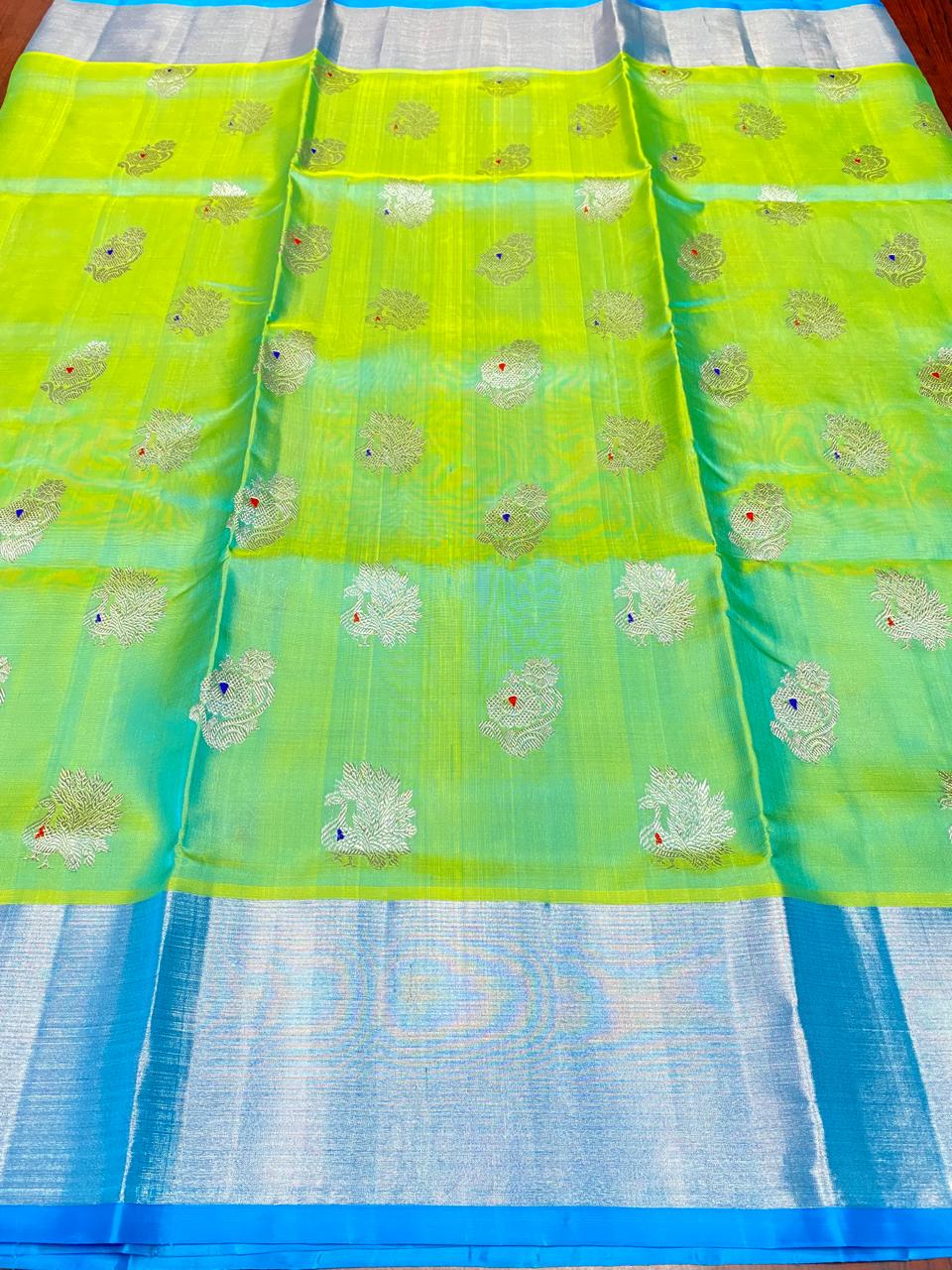 Lime Green Venkatagiri Handloom Pattu Silk Meenakari Saree