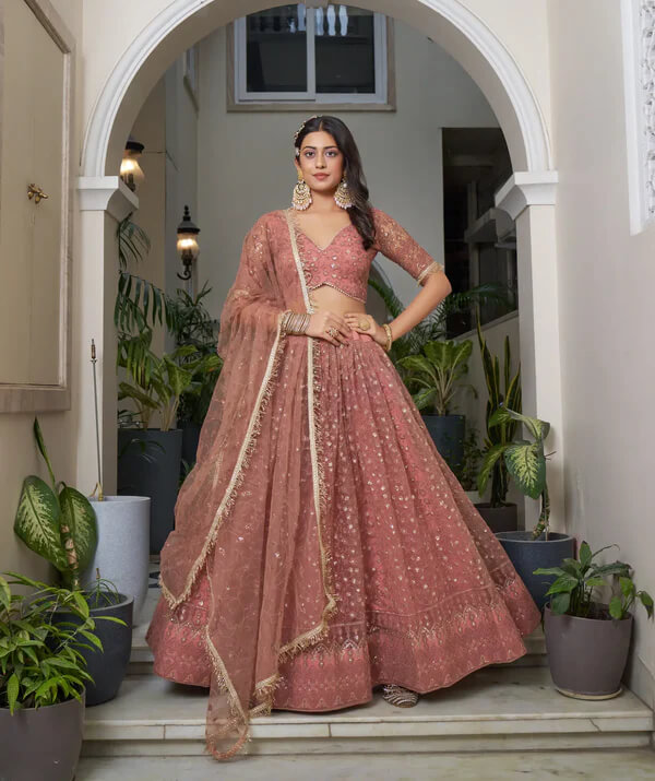 Elegant Rust Brown Net Embroidered Lehenga Choli