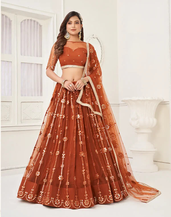 Elegant Brown Net Lehenga with Fancy Lace Detailing