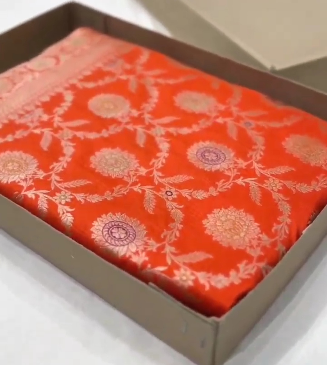 Dual Tone Orange Banarasi Handloom Katan Silk Meenakari Saree